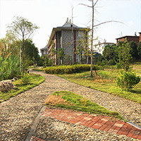 Image description